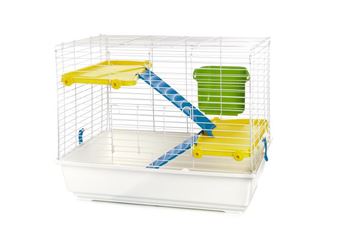 OFF GABBIETTA COLORS RODITORI DOUBLE 76,