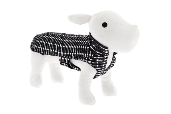 OFF CAPPOTTO DOGUE CM.39