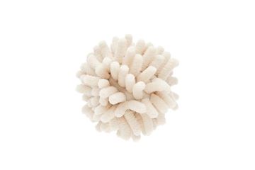 PELOSINA BALLS CHENILLE 6,5CM 12PCS