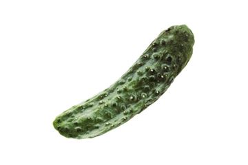 CETRIOLO MATATABI 14X7,5CM 3PCS