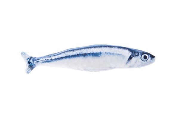 SARDINA MATATABI 20CM 3PCS