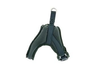 PETT.NUVOLA BOOMERANG L 44-54CM VERDE CO