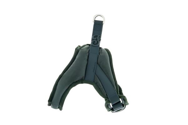 PETT.NUVOLA BOOMERANG M 40-50CM VERDE CO