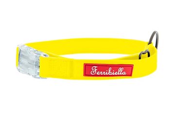 Εικόνα της COLLAR FUN FLAT 2X30-50CM YELLO
CO
