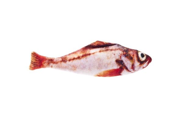 SALMONETE MATATABI 20CM