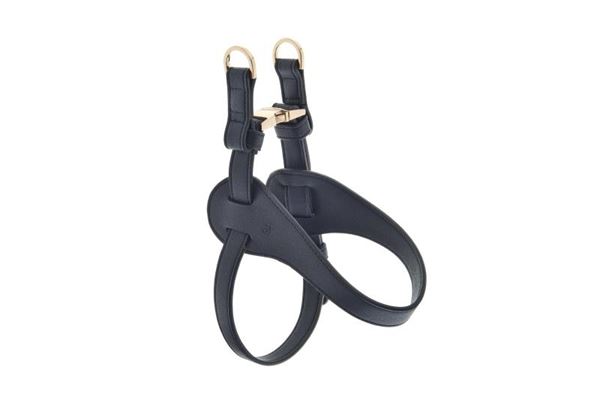 HARNAIS MOKKA MESURE M 47-67CM BLEU