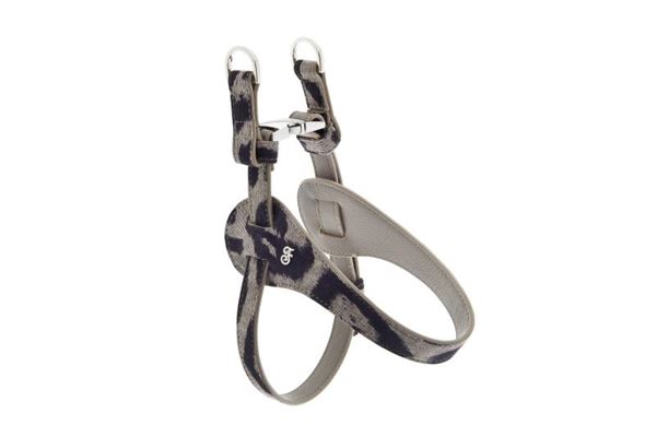 ARNES MOKKA MEDIDA XS 33-51CM LEOPARDO