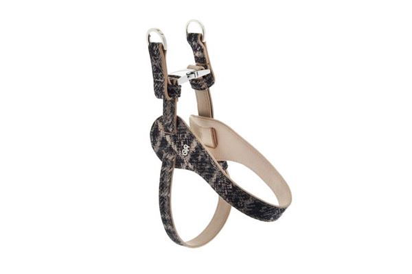 HARNESS MOKKA SIZE XS 33-51CM PIED-DE-PO
