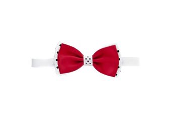 Imagen de CORBATA DE LAZO MARILYN 10PZ