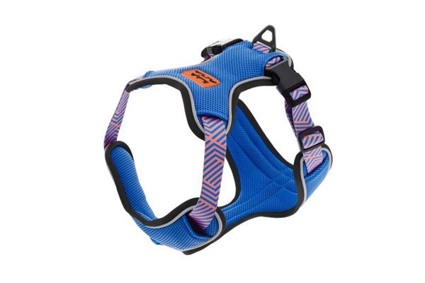 HARNAIS ARIA XS 30-38CM / 40-50CM BLEU