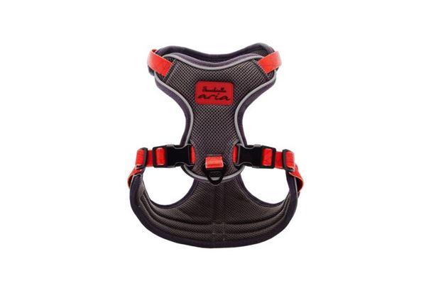 Изображение HARNESS ARIA XS 30-38CM / 40-50CM RED