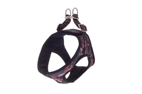 HARNAIS KAMI L 50-60CM NOIR