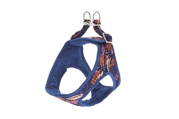 HARNAIS KAMI XL 58-70CM BLEU