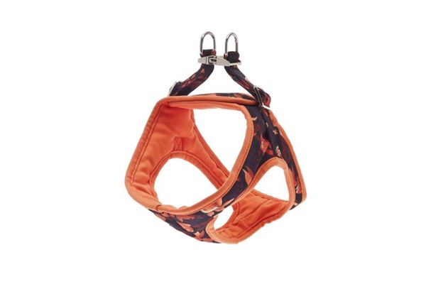 HARNAIS KAMI XS 32-39CM ORANGE
