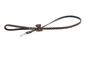 OFF GUINZAGLIO BOWY 1,5X120CM ORAN