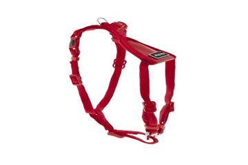 OFF PETTORINA BURCINA XS 10 MM ROSSA