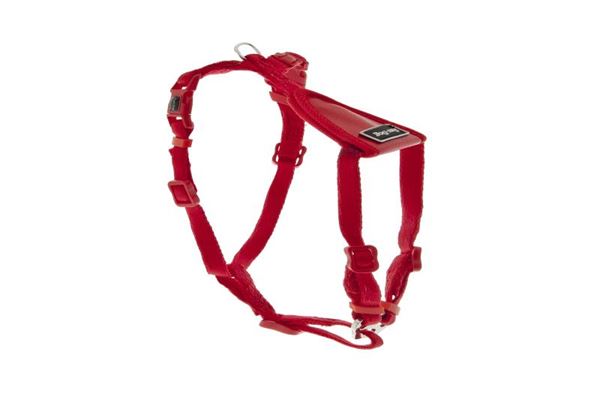 OFF HARNAIS BURCINA XS 10 MM ROUGE