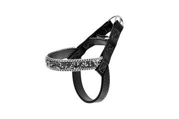 Εικόνα της BRILLI-BRILLI LEATHER HARNESS XXS BLACK