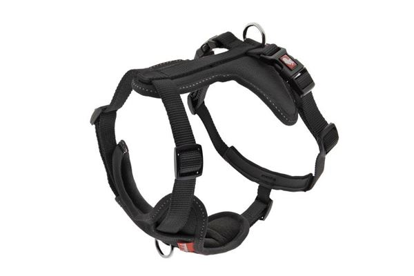 HARNAIS CESARE M 2CM (40-62CM) NOIR