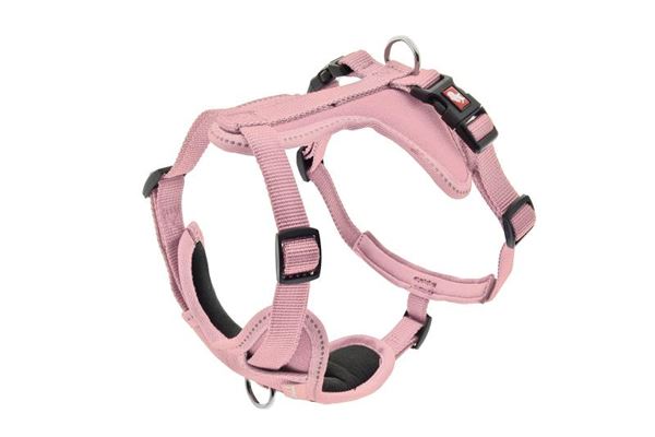 ARNÉS CESARE M 2CM (40-62CM) ROSADO
