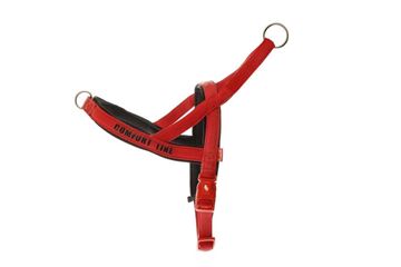 Bild von TREKK HARNESS FUSS-CONF 25MM 55-76C RED