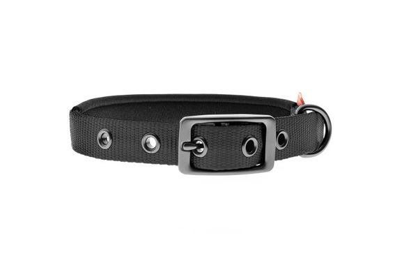 COLLARE NYLON IMBOTTITO CM 55X2,5 NERO