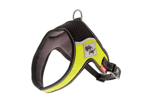 PETTORINA REG. EVEREST L (68-86CM)/49CM