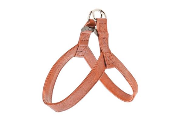 PETTORINA SUPER COCO XXS 1,5X24CM RA