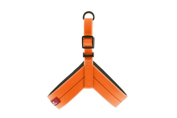 OFF HARNAIS COCO FUN FLAT 5X80CM ORANGE