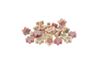 BONE FRUIT FIORELLINI BOX 12BUSTE X 120G