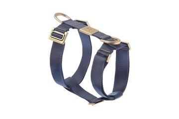 PETTORINA MIDA LARGE 40-60CM; 55-80CM BL