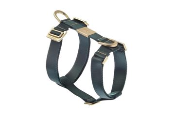 PETTORINA MIDA XLARGE 50-75 CM; 65-95 CM