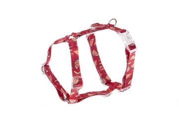 PETTORINA H MOTIF WATERMELON L 50-74CM -
