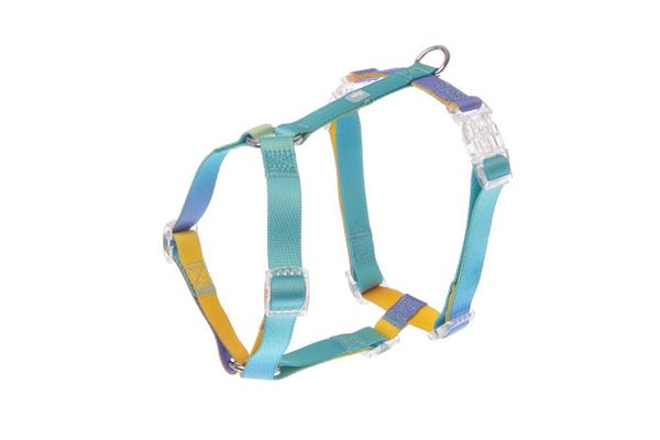 HARNAIS EN H MOTIF RAINBOW M 39-59CM - 5