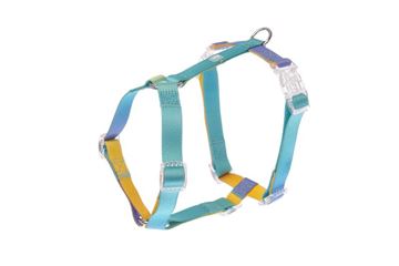 PETTORINA H MOTIF RAINBOW S 30-46CM - 43