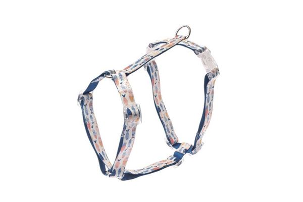 HARNAIS H MOTIF PINNA M