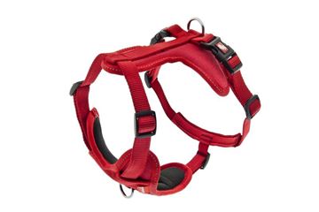 PETTORINA CESARE S 1,5CM ROSSA COLLO:33-