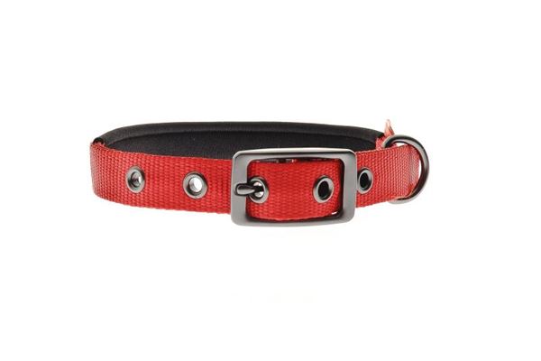 COLLARE NYLON IMBOTTITO CM 45X2 ROSSO