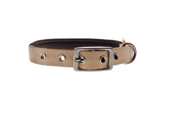 COLLIER NYLON REMBOURE 65X2,5CM MARRON