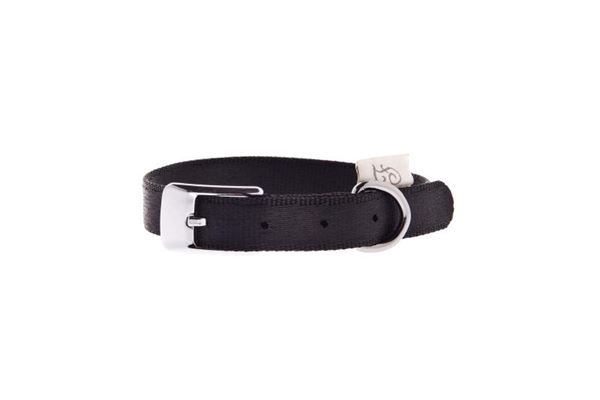 COLLIER NYLON F D SPECIAL 15MMX35CM NOIR
