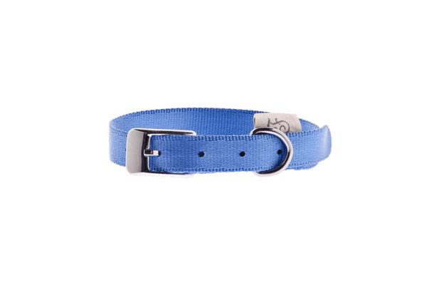 COLLIER NYLON F D SPECIAL 25MMX55CM AZZU