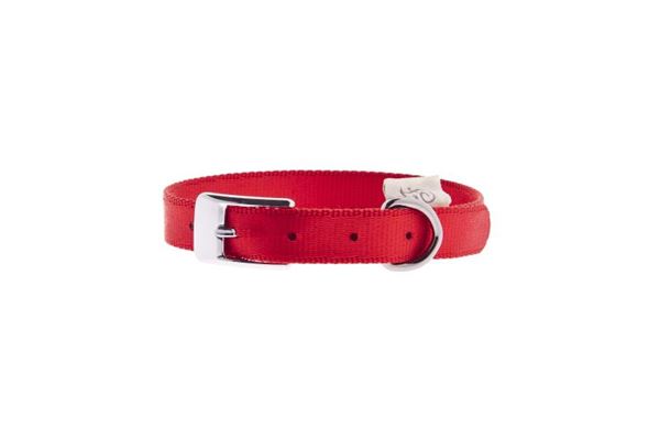 COLLARE NYLON F.D.SPECIAL 25MMX60CM