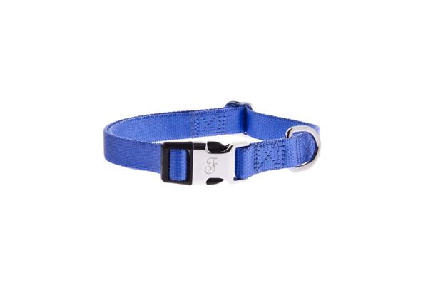 COLLIER REG NY FD SPEC 25MMX55-70CM BLEU