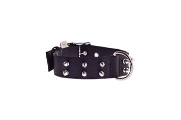 COLL.NYLON 2 FILE CHIODI 4X43-53CM NERO