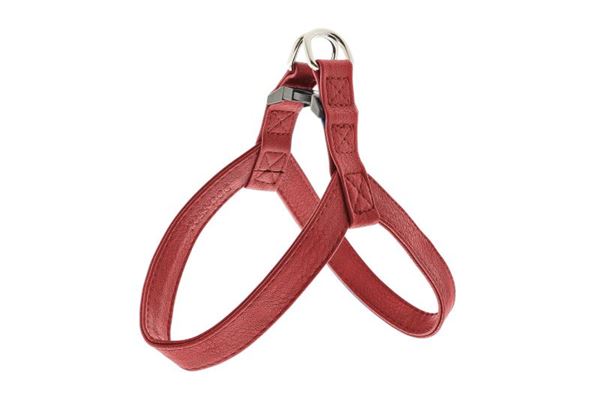 PETTORINA SUPER COCO XXS 1,5X24CM R