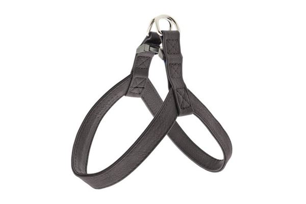 PETTORINA SUPER COCO L 2,5X44CM GR