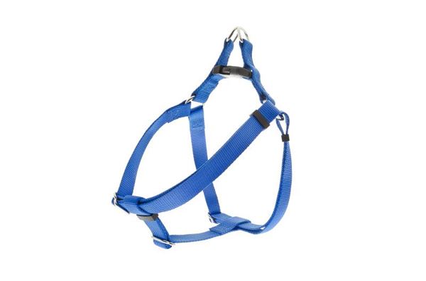 HARNAIS REG.SPEEDY NYLON 20MM (L) BLEU