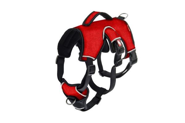 PETTORINA K2 REGOL. L TORACE:52-76C ROSS