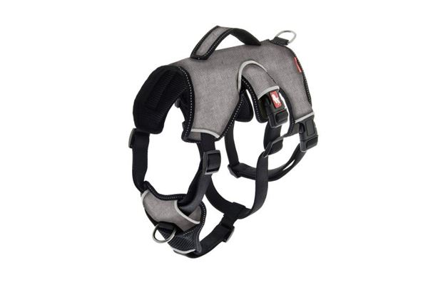 PETTORINA K2 REGOL.XL TORACE:58-88C GRIG