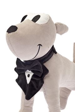 Imagen de BABERO JAMES PERROS-GATOS 3PZ 20-25